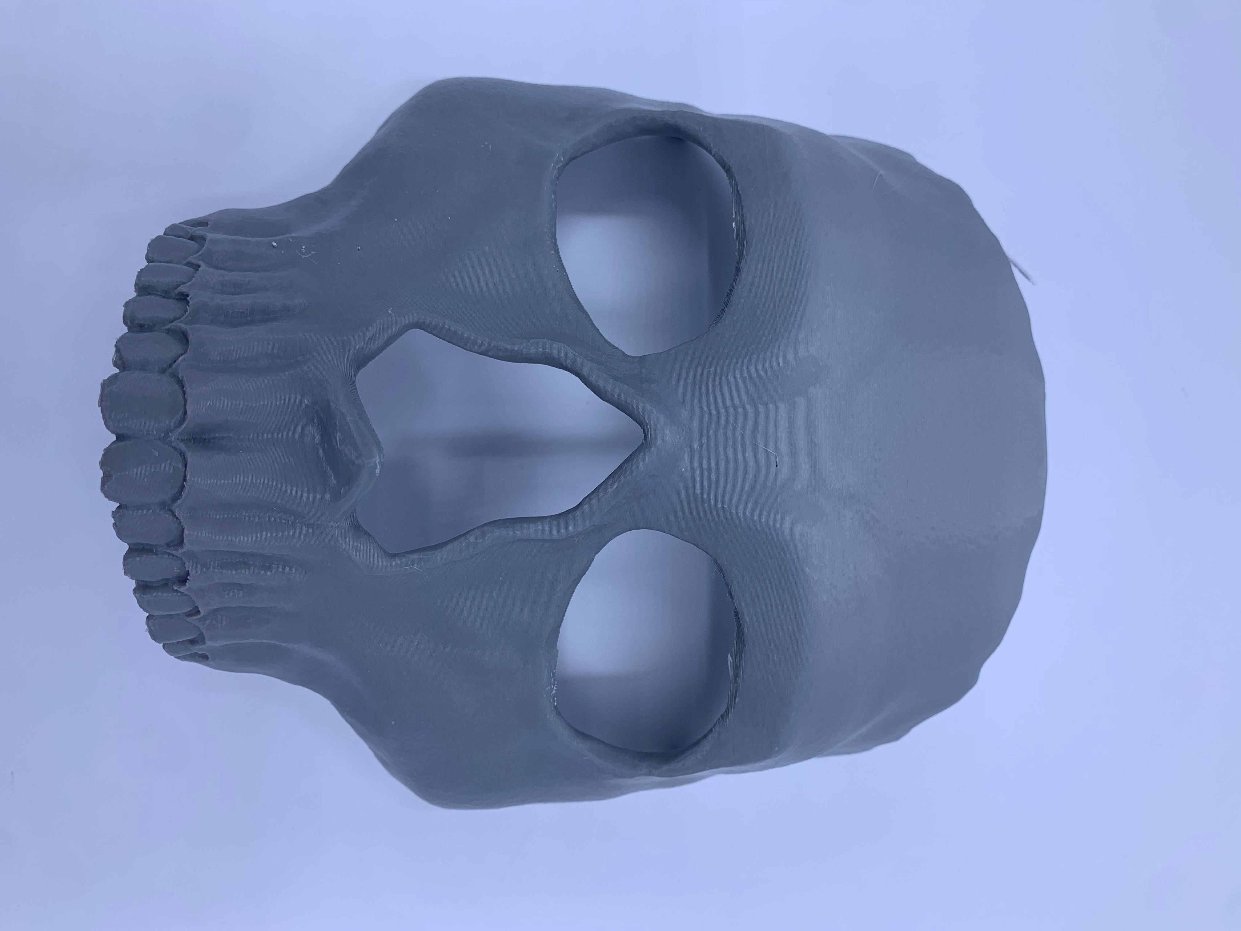 Skeleton Mask 2